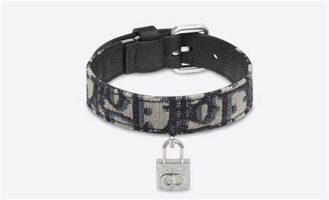 dior dog photo|high end leather dog collars.